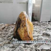 Amazon.co.jp: ブラジル産アゲート虹入り5.7キロ 瑪瑙鑑賞石石置物